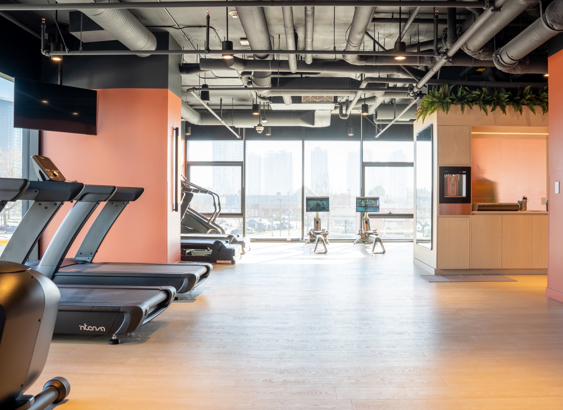 Fit22 Consulting